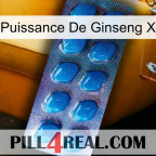 Ginseng Power X viagra1